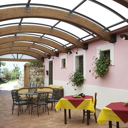 Fattoria Alvaneta Padula Exterior foto