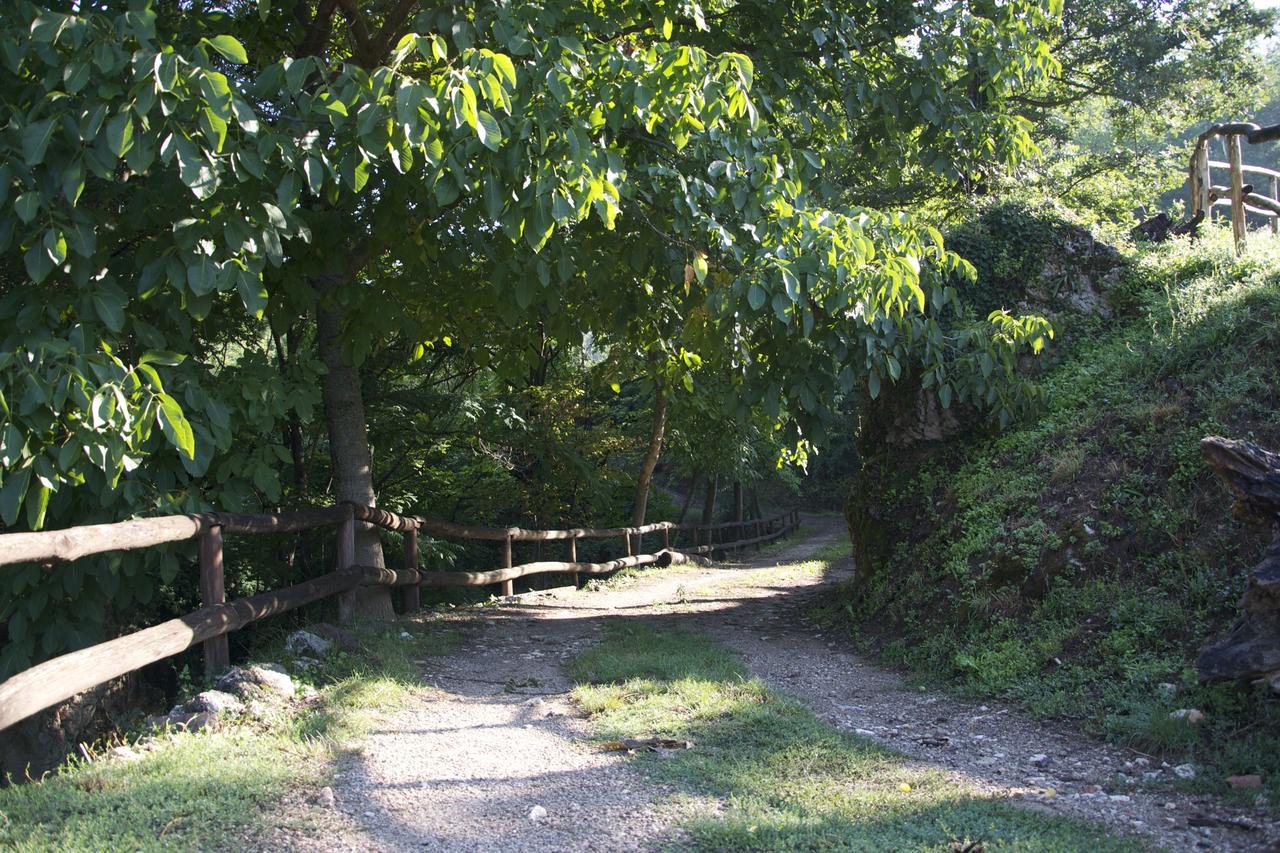 Fattoria Alvaneta Padula Exterior foto