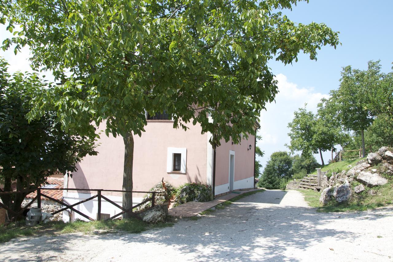 Fattoria Alvaneta Padula Exterior foto